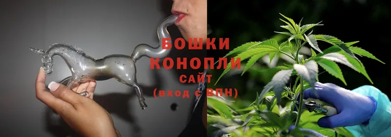 хочу   Гвардейск  блэк спрут сайт  Конопля White Widow 